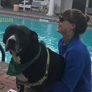 Meet your Posher, Anne